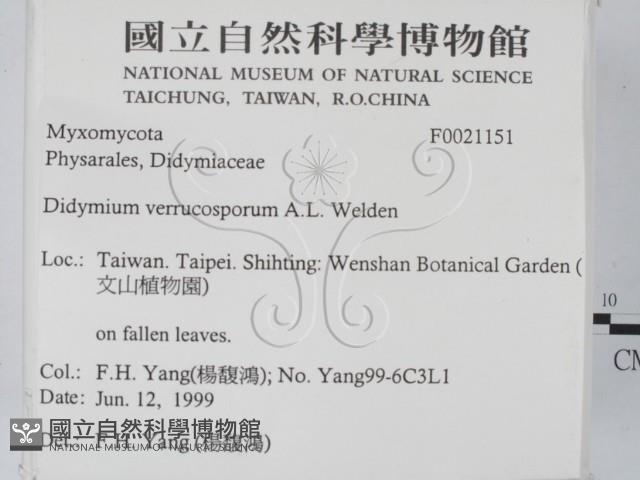 登錄號:F0021151藏品圖，第2張