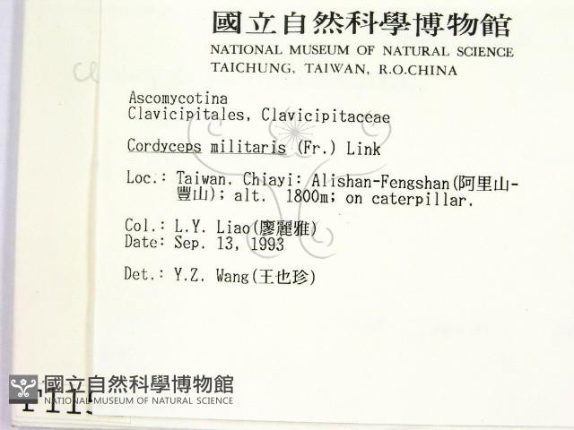 登錄號:F0001151藏品圖，第2張
