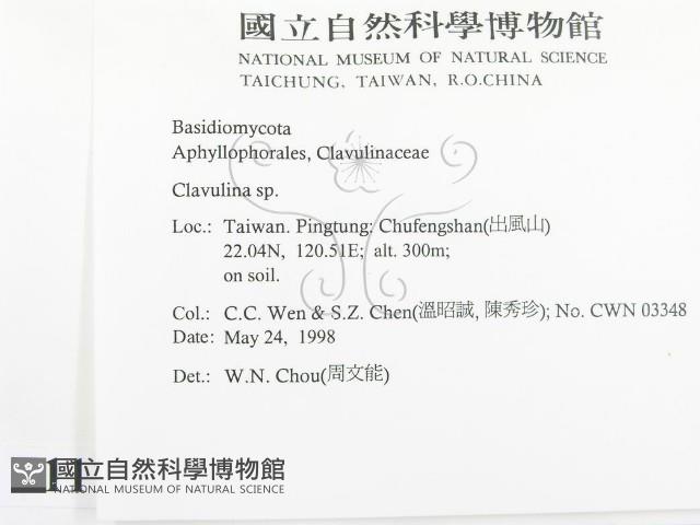 登錄號:F0011151藏品圖，第2張