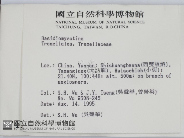登錄號:F0004151藏品圖，第2張