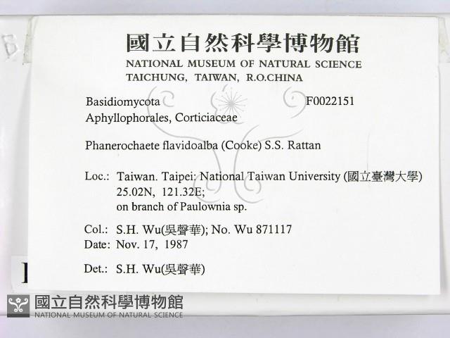 登錄號:F0022151藏品圖，第2張