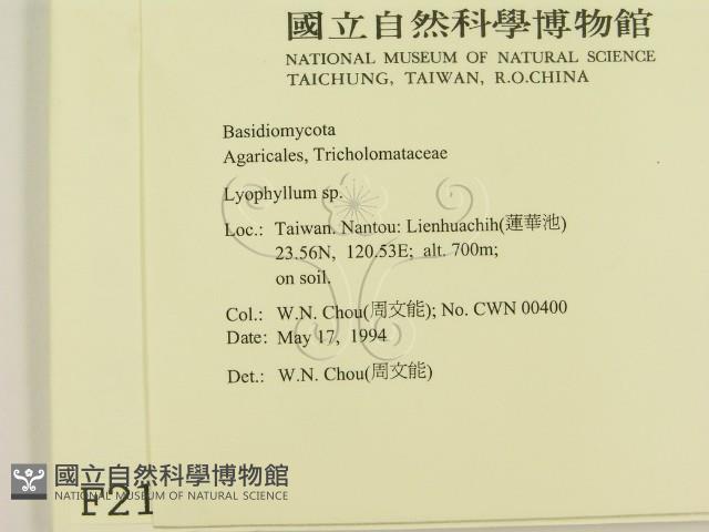 登錄號:F0002151藏品圖，第2張