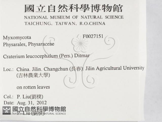 登錄號:F0027151藏品圖，第2張