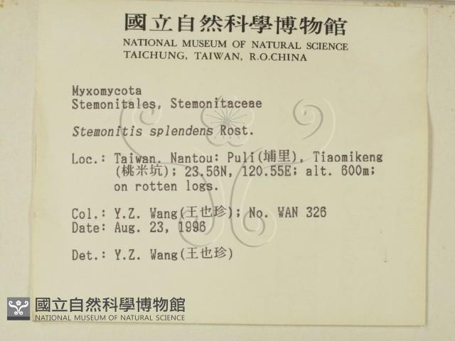 登錄號:F0005151藏品圖，第2張