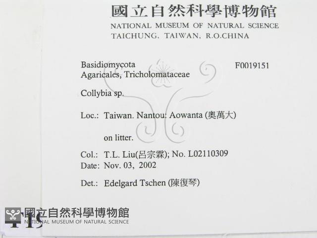 登錄號:F0019151藏品圖，第2張