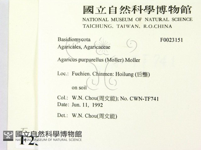 登錄號:F0023151藏品圖，第2張