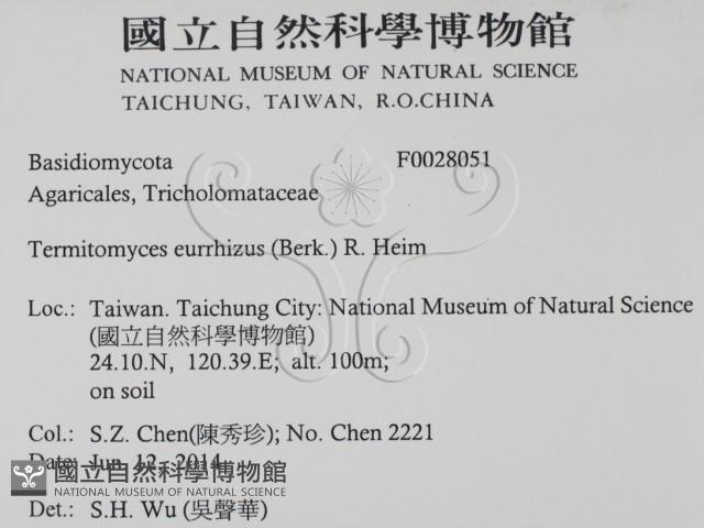 登錄號:F0028051藏品圖，第2張