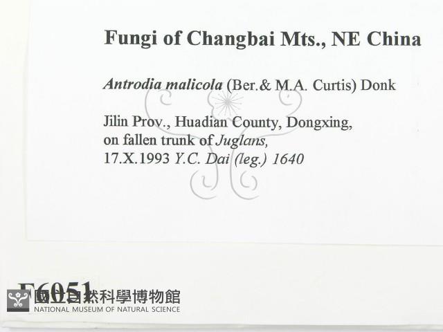 登錄號:F0006051藏品圖，第2張