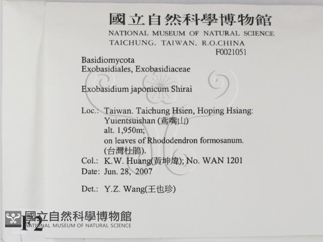 登錄號:F0021051藏品圖，第2張
