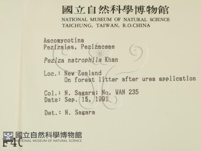 登錄號:F0004051藏品圖，第2張