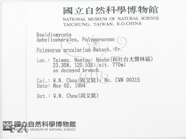 登錄號:F0002051藏品圖，第2張