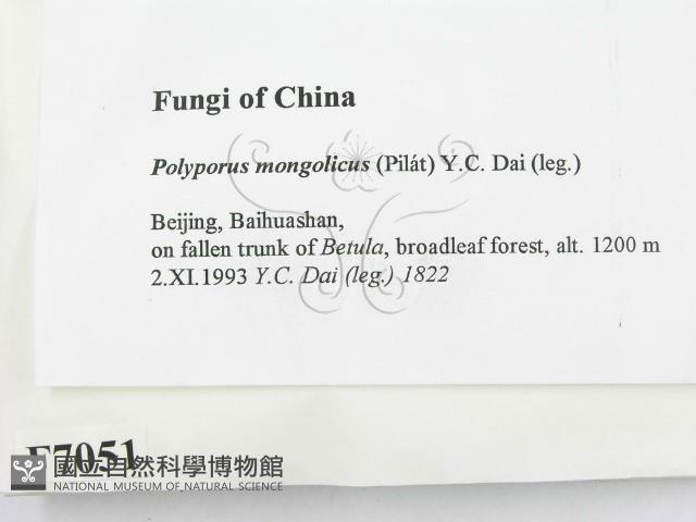 登錄號:F0007051藏品圖，第2張