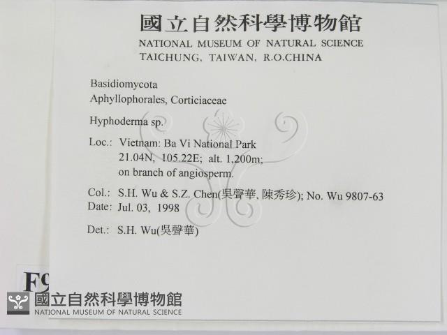 絲皮菌屬藏品圖，第2張