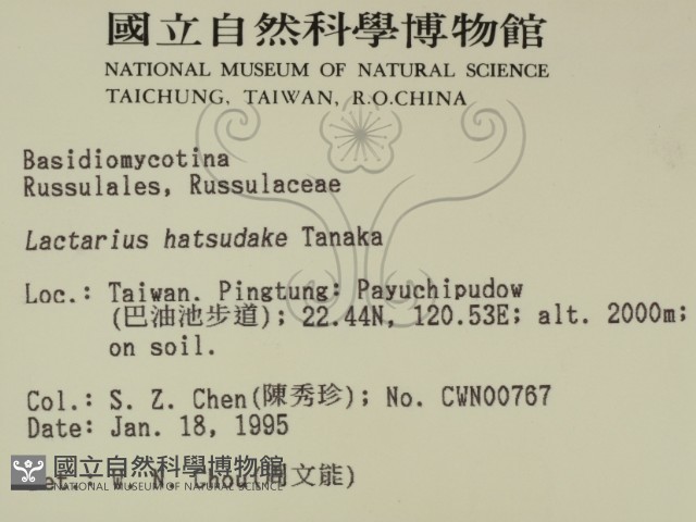 登錄號:F0003051藏品圖，第2張