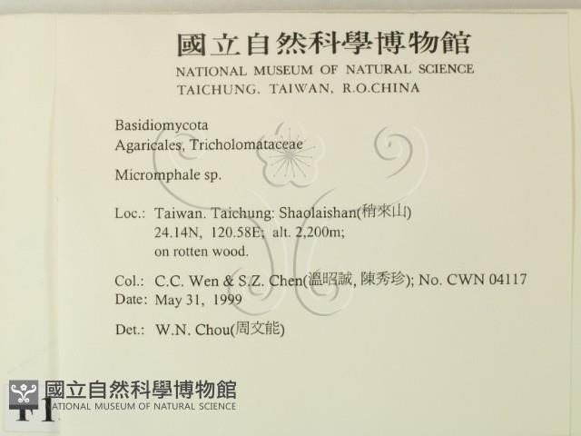 登錄號:F0013051藏品圖，第2張