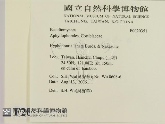 登錄號:F0020351藏品圖，第2張