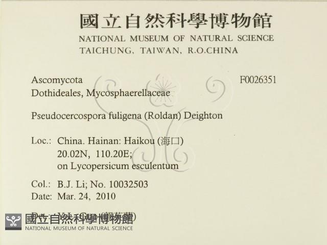 登錄號:F0026351藏品圖，第2張