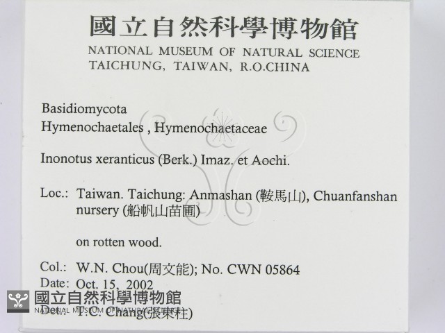 登錄號:F0016351藏品圖，第2張