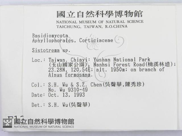 登錄號:F0001351藏品圖，第2張