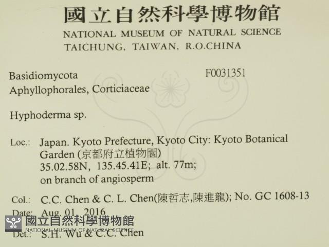 絲皮菌屬藏品圖，第2張