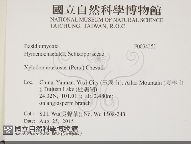 登錄號:F0034351藏品圖，第2張