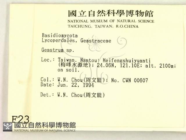 地星屬藏品圖，第2張