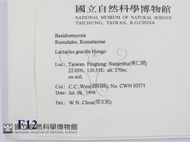 登錄號:F0012351藏品圖，第2張
