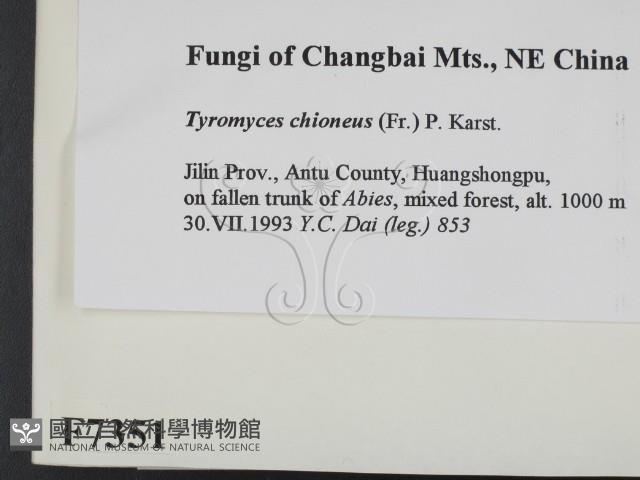 登錄號:F0007351藏品圖，第2張