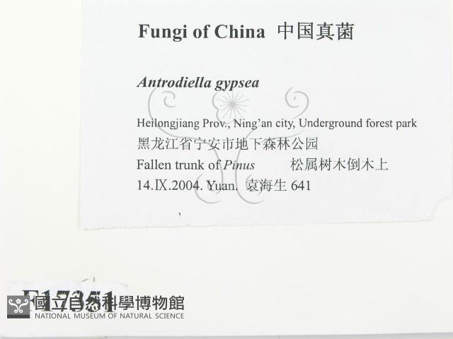 登錄號:F0017351藏品圖，第2張