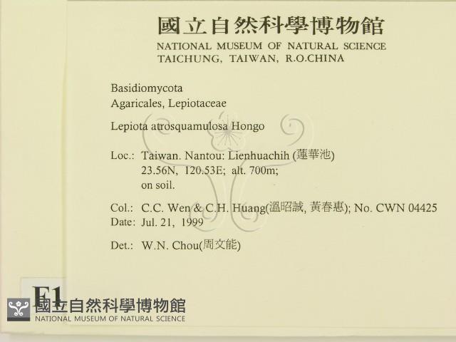 登錄號:F0013351藏品圖，第2張