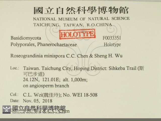 館號:F0033351藏品圖，第2張