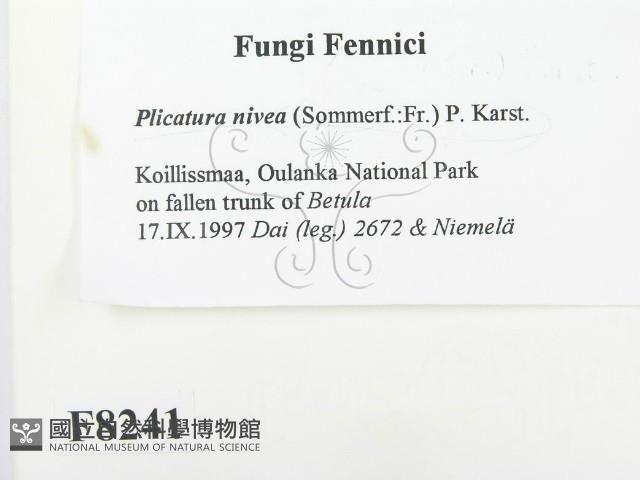 登錄號:F0008241藏品圖，第2張