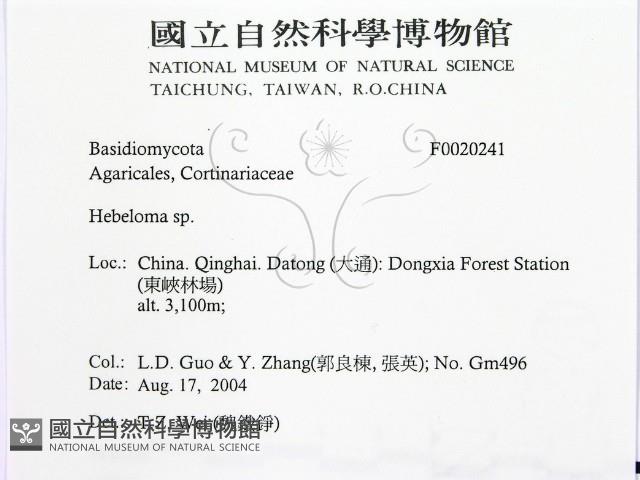 登錄號:F0020241藏品圖，第2張