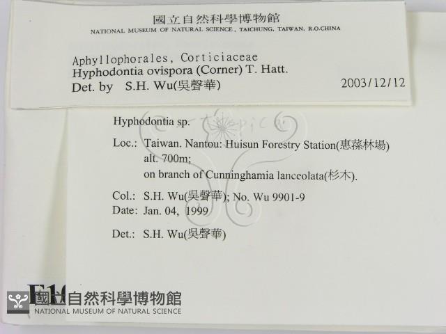登錄號:F0010241藏品圖，第2張