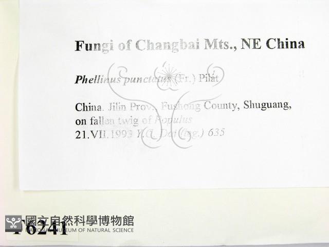 登錄號:F0006241藏品圖，第2張