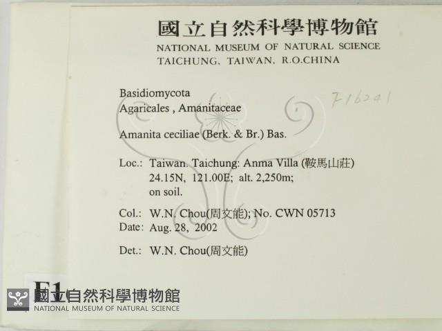登錄號:F0016241藏品圖，第2張