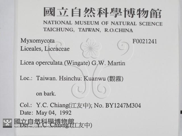 登錄號:F0021241藏品圖，第2張