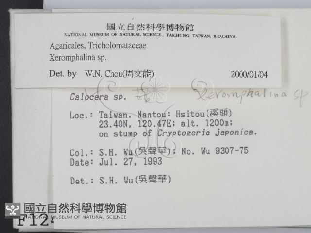登錄號:F0001241藏品圖，第2張