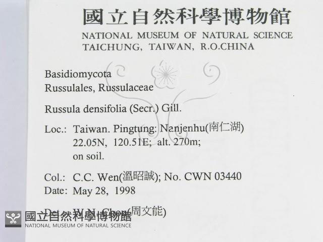 登錄號:F0011241藏品圖，第2張