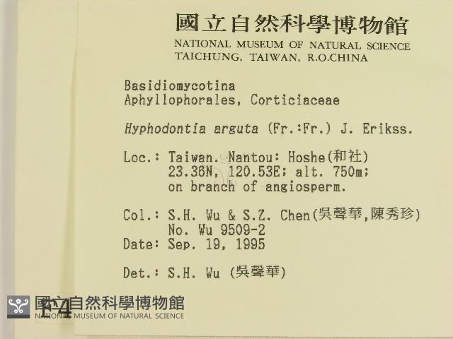 登錄號:F0004241藏品圖，第2張