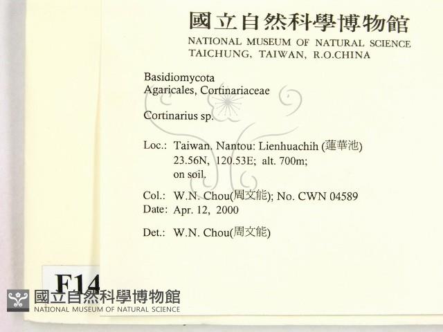 登錄號:F0014241藏品圖，第2張