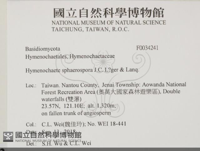 登錄號:F0034241藏品圖，第2張