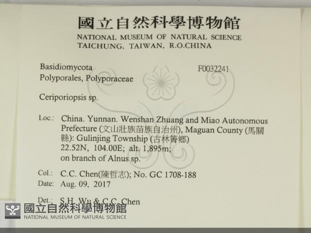 登錄號:F0032241藏品圖，第2張