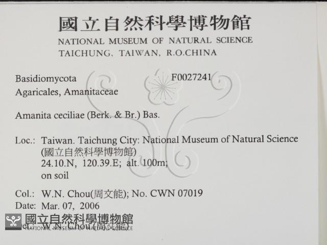 登錄號:F0027241藏品圖，第2張