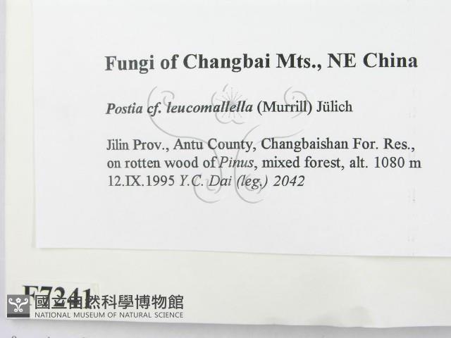 登錄號:F0007241藏品圖，第2張