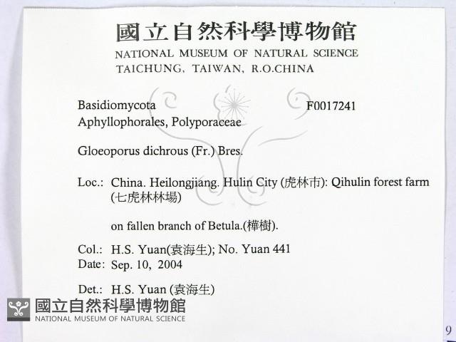 登錄號:F0017241藏品圖，第2張