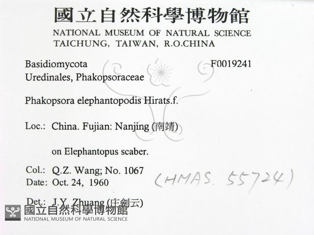 登錄號:F0019241藏品圖，第2張
