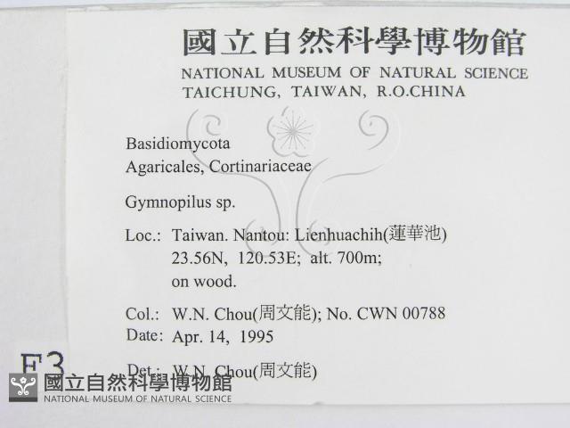 登錄號:F0003241藏品圖，第2張