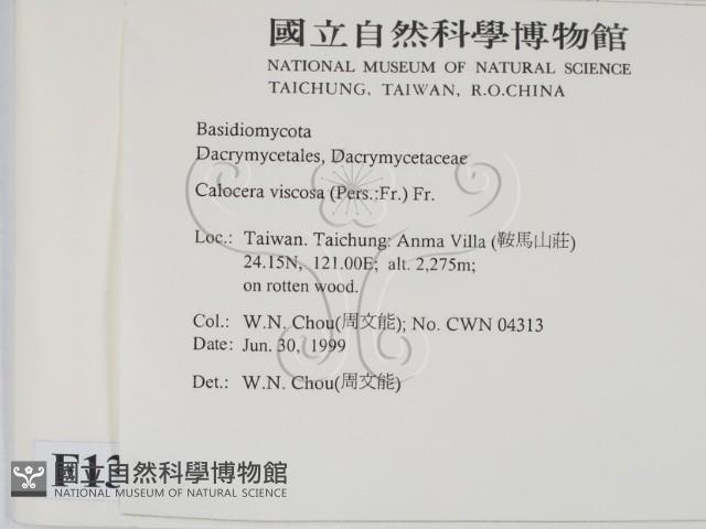 登錄號:F0013241藏品圖，第2張