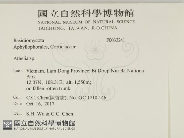 阿太菌屬藏品圖，第2張